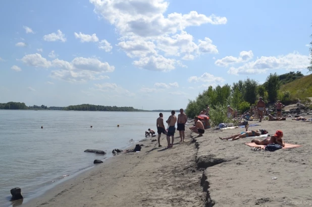 Барнаульцев предупредили о небезопасности купания у Нового моста.