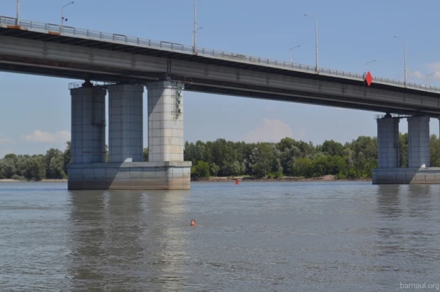 Барнаульцев предупредили о небезопасности купания у Нового моста.