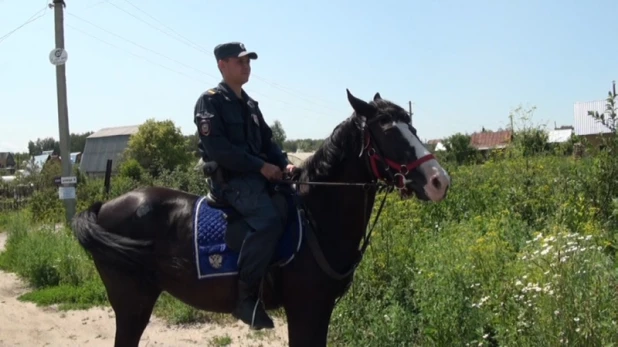 Конная полиция патрулирует дачные поселки на Алтае.