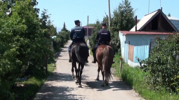 Конная полиция патрулирует дачные поселки на Алтае.