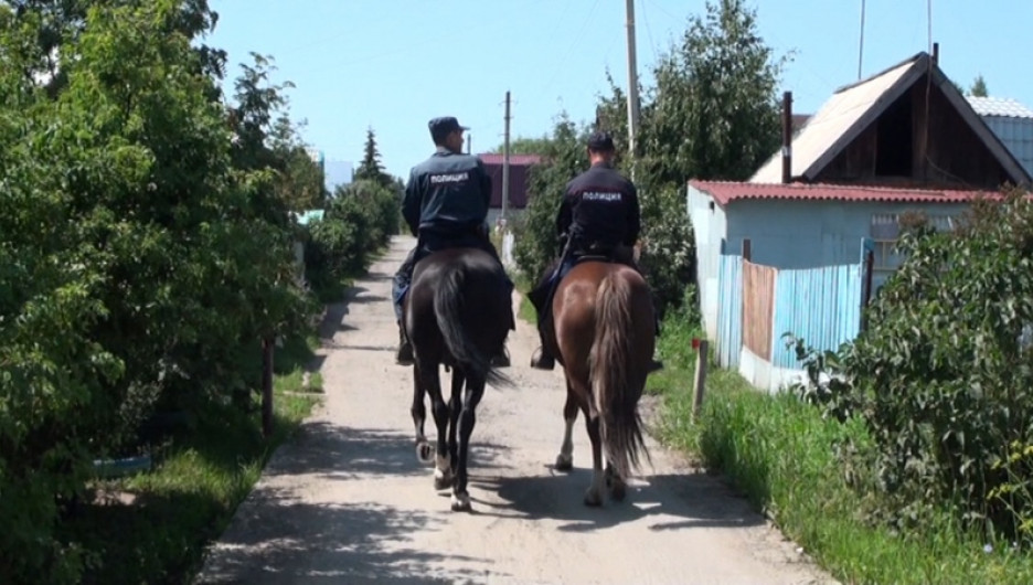 Конная полиция патрулирует дачные поселки на Алтае.