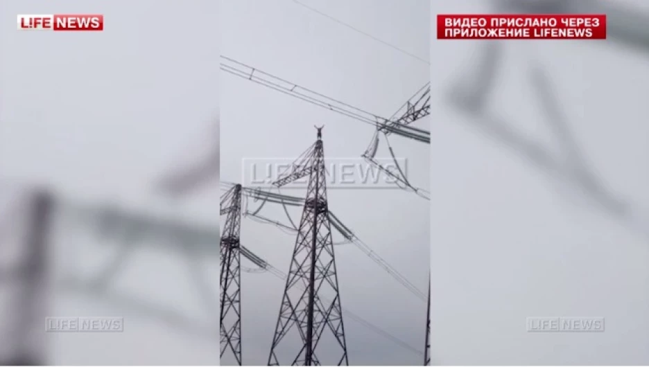 Барнаулец забрался на ЛЭП.