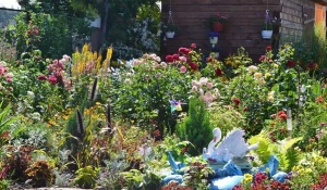 Барнаульцы обустраивают придомовые территории.