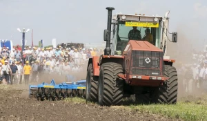 Форум "День сибирского поля". Павловский район, июль 2015 года.