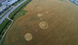 Круги на поле в Тольятти.