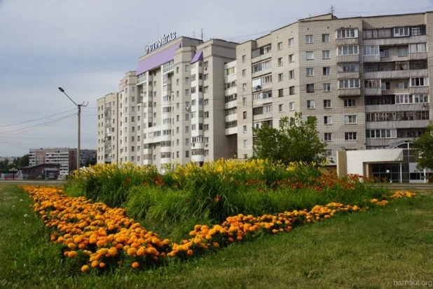 Вазы и клумбы в Индустриальном районе Барнаула.