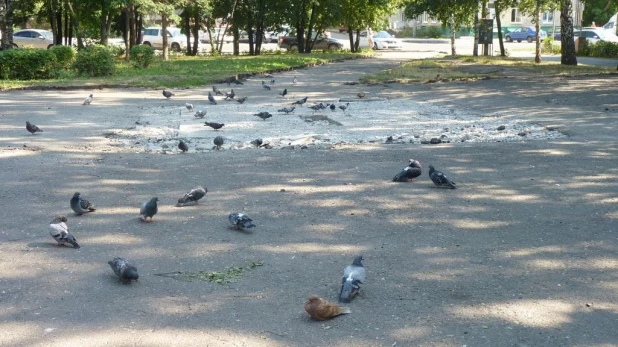 В Барнауле пропал фонтан.