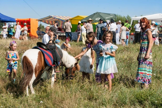 Жаркие Шукшинские чтения. Сростки, 25 июля 2015 года.