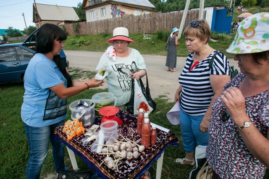 Жаркие Шукшинские чтения. Сростки, 25 июля 2015 года.