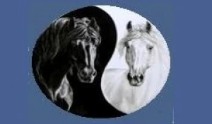 Клуб верховой езды "Тандем"