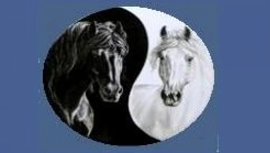 Клуб верховой езды "Тандем"