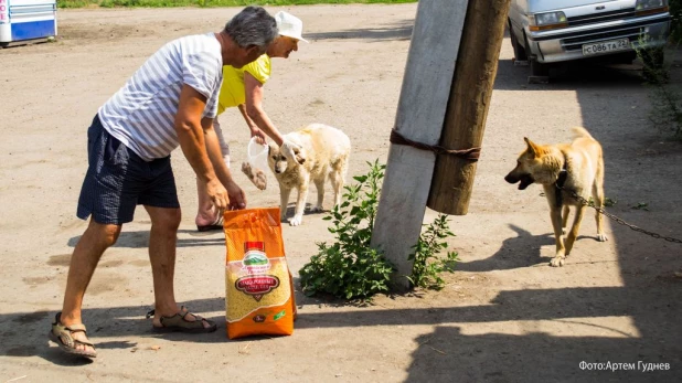 "Гуманитарка" для собак.