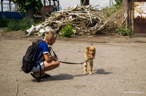 Норма с новым хозяином.