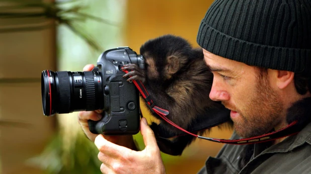 Животные и фотоаппараты.