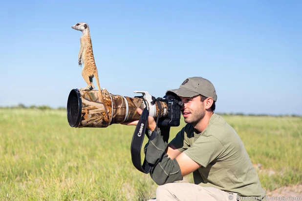 Животные и фотоаппараты.