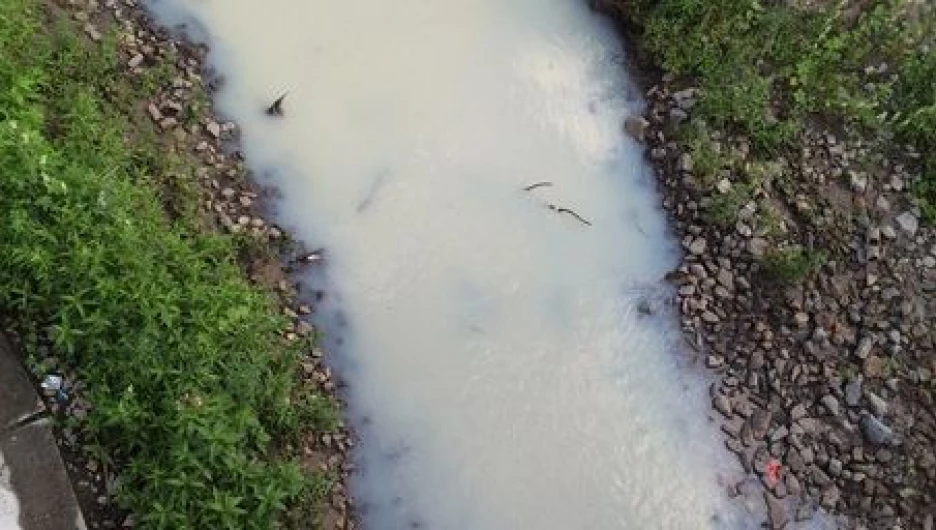 Вода в Пивоварке вновь побелела.