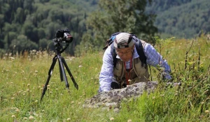 Сбор материала.