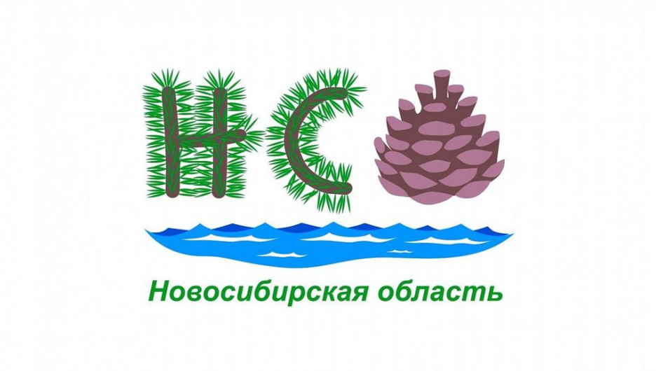 Перекресток моря и тайги! Эскиз туристического бренда Новосибирской области.