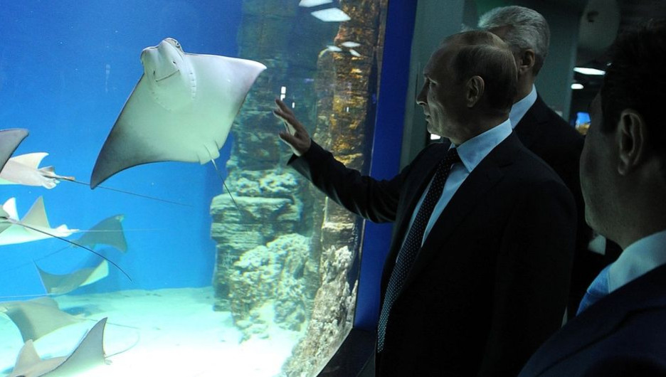 Владимир Путин во время посещения "Москвариума".