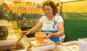 В Барнауле открылась медовая ярмарка. 5 августа 2015 года.