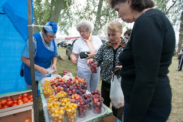 "Праздник сырной деревни" в селе Куяган