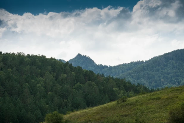 Окрестности Куягана.