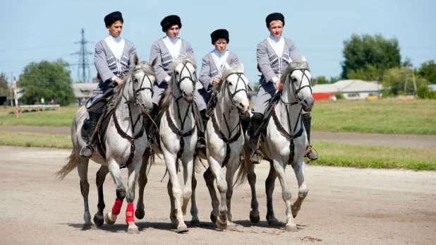 На Барнаульском ипподроме прошли конноспортивные соревнования в рамках III этапа Большого сибирского круга.