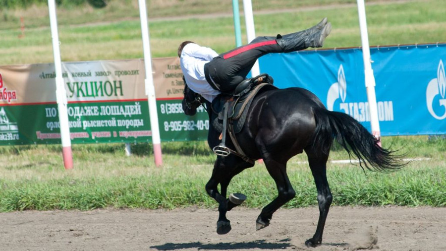На Барнаульском ипподроме прошли конноспортивные соревнования в рамках III этапа Большого сибирского круга.