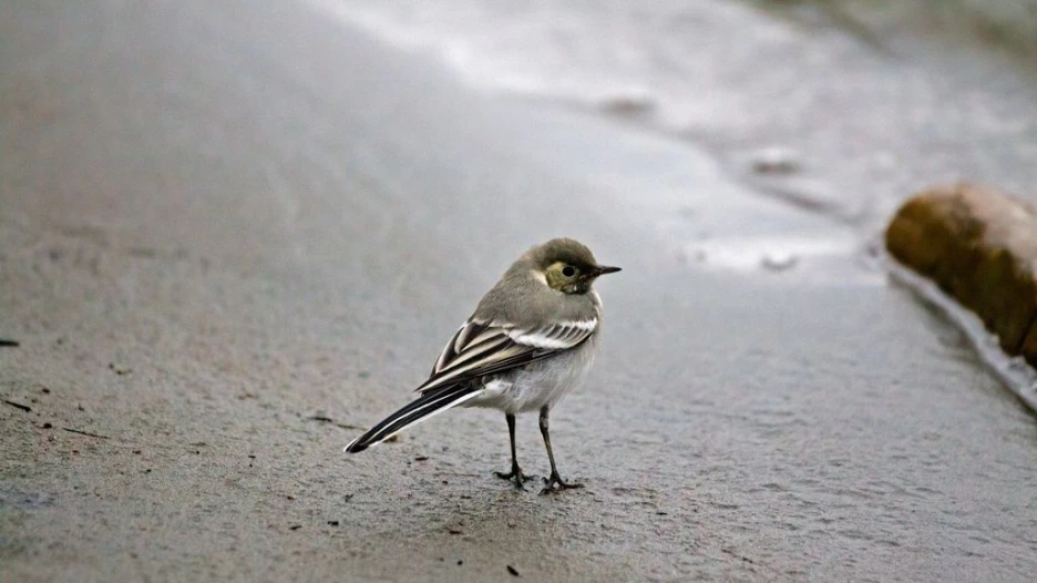 Барнаул после дождя.