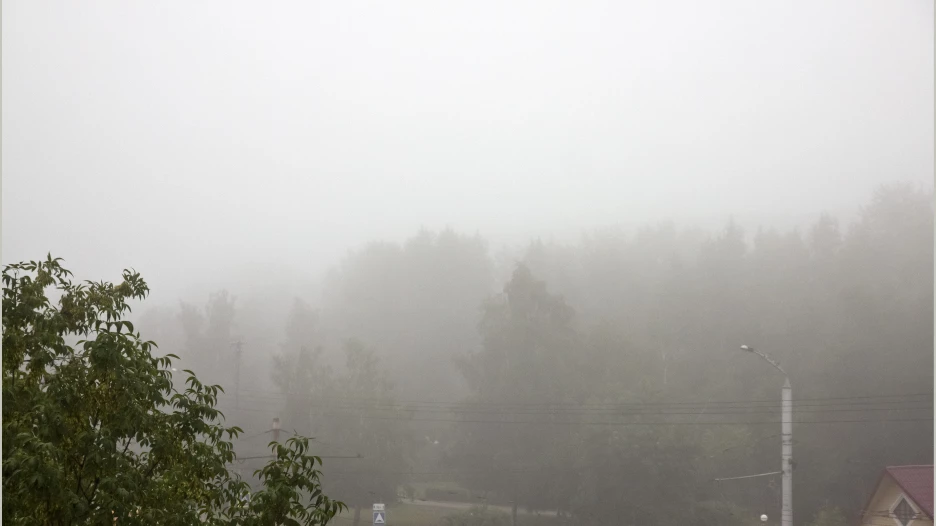 Дождь в Барнауле.