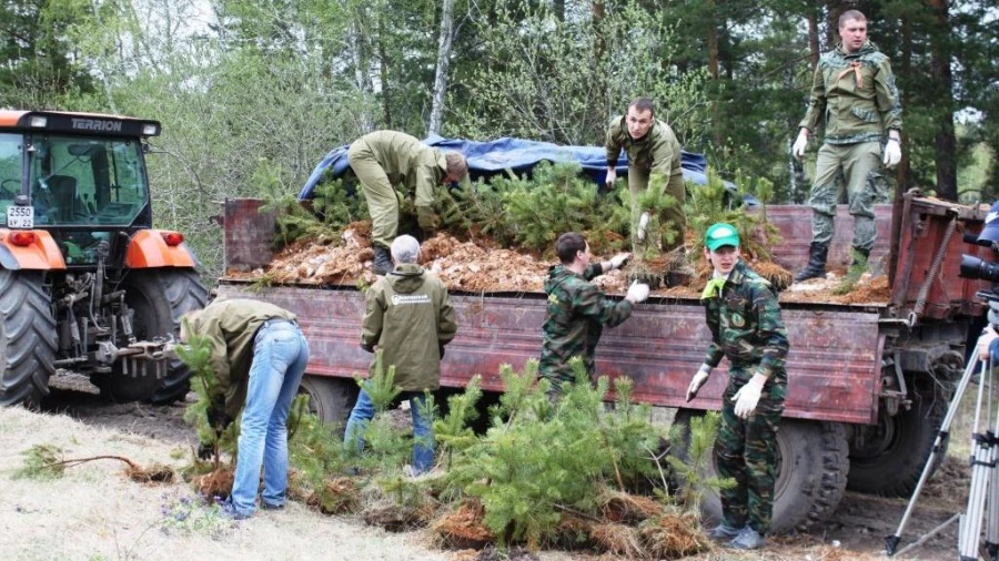 В Алтайском крае лесоводы и будущие полицейские высадят 500 деревьев.