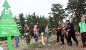 В Алтайском крае лесоводы и будущие полицейские высадят 500 деревьев.