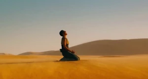 Безумный Макс: дорога ярости, 2015.