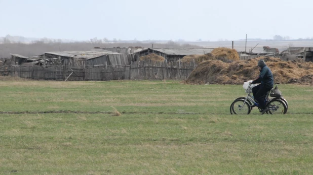 В деревне.