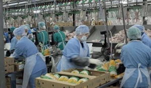 Производственный контроль. Для чего он нужен?