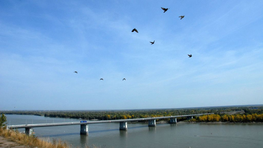Птицы, осень, Новый мост.