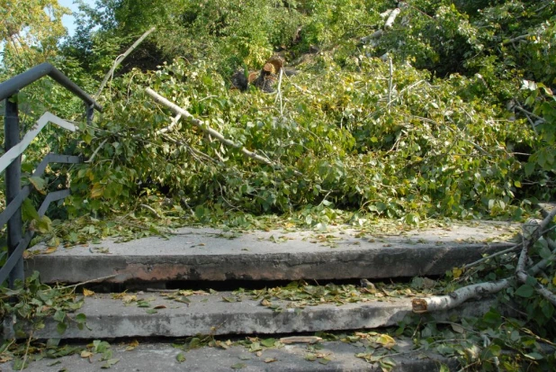 В Нагорном парке (бывший ВДНХ). Сентябрь, 2015 год.