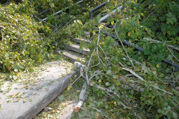 В Нагорном парке (бывший ВДНХ). Сентябрь, 2015 год.