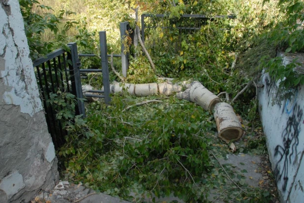 В Нагорном парке (бывший ВДНХ). Сентябрь, 2015 год.