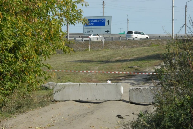 В Нагорном парке (бывший ВДНХ). Сентябрь, 2015 год.