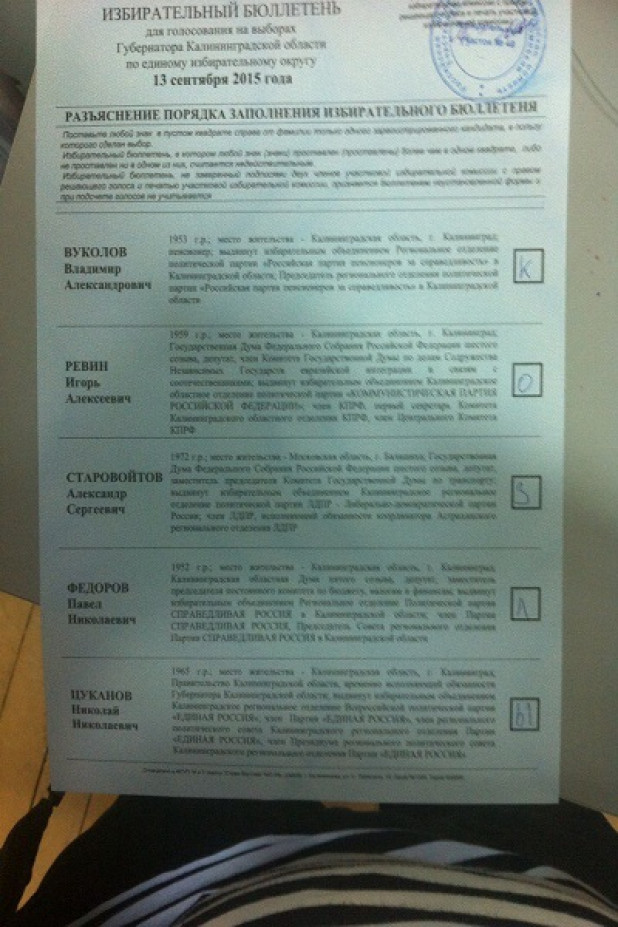 Голосование на выборах бюллетень в другом браузере