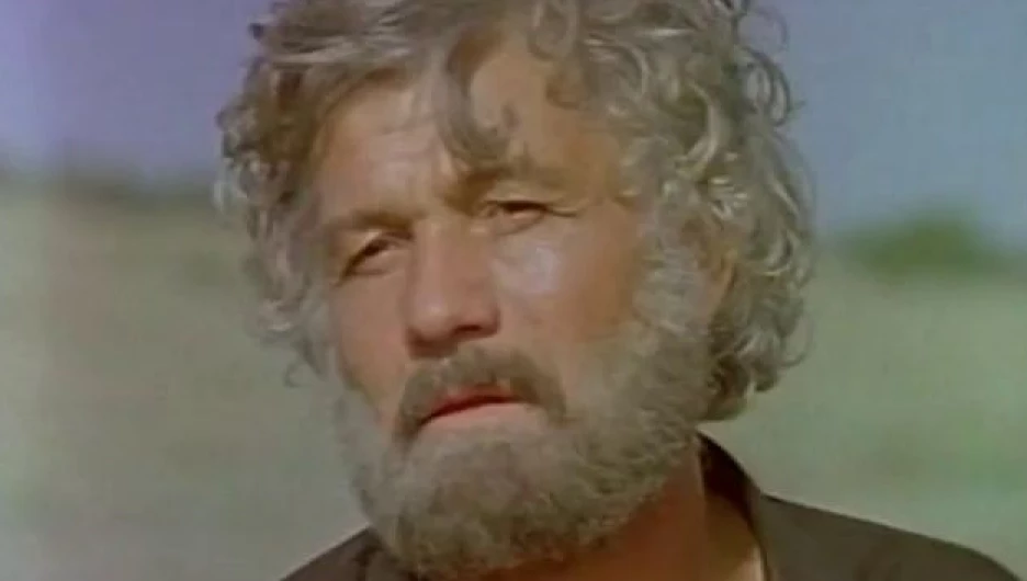 Михай Волонтир в роли Будулая