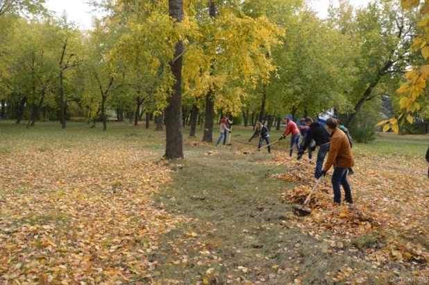 В Барнауле привели в порядок "Аллею ветеранов".