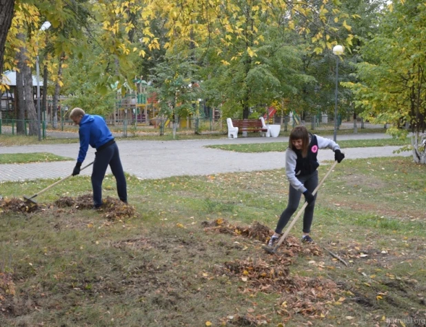 В Барнауле привели в порядок "Аллею ветеранов".