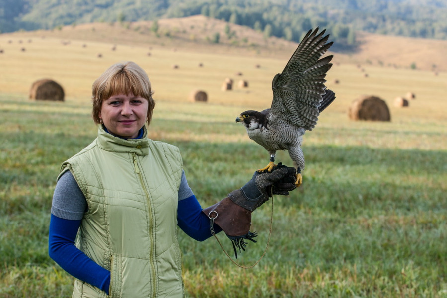 В Алтайском крае провели первую псовую охоту сезона.