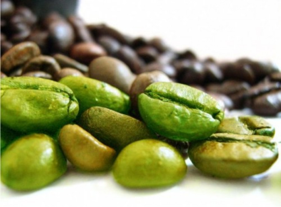 Зеленый кофе тонизирует не меньше привычного обжаренного и обладает другими ценными свойствами.