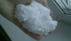 В Барнауле выпал первый снег.