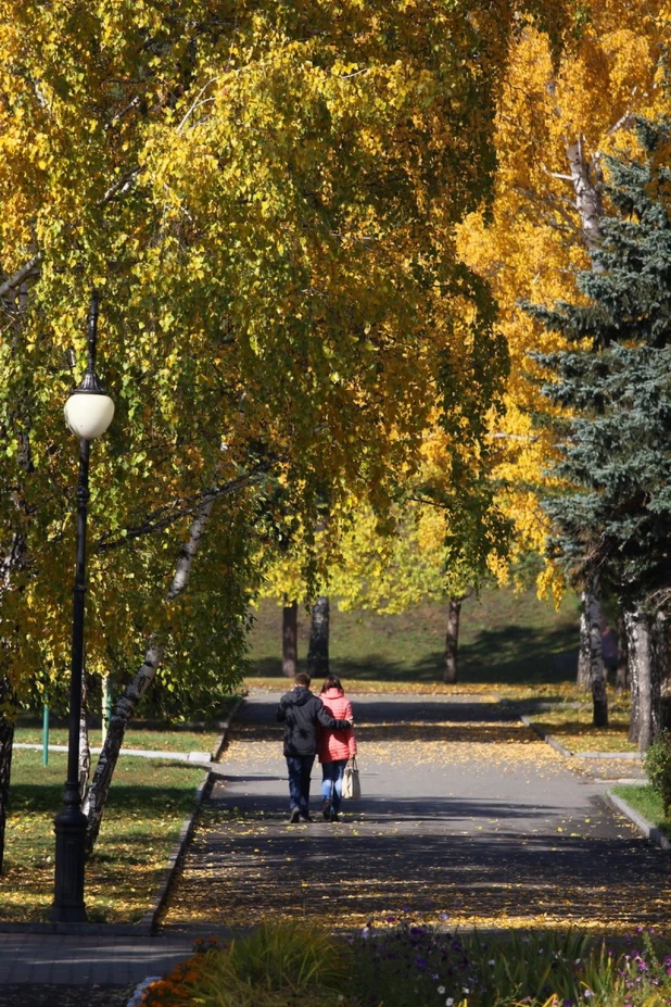 Барнаул осенью.