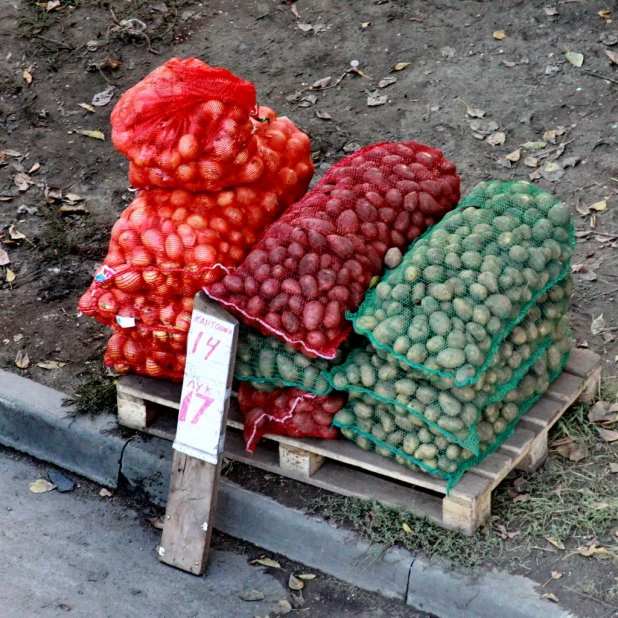 Барнаул осенью.