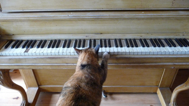 А почему бы не поиграть на пианино?